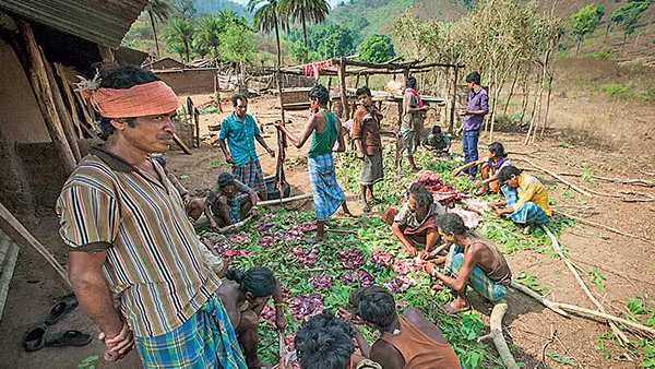 சந்தைகளுக்கு பயணம் 