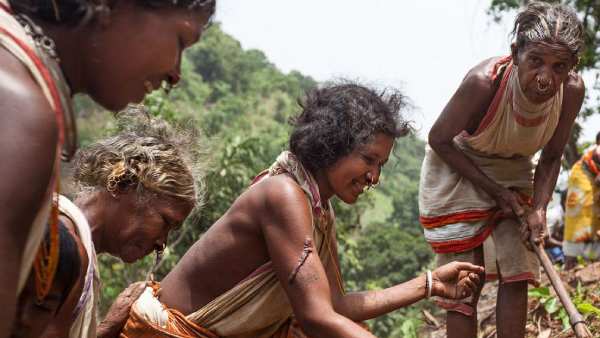 டோங்கிரியா கோண்ட் பழங்குடிகள் 