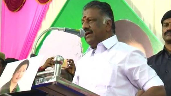 கலந்து கொண்ட ஓபிஎஸ் 
