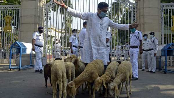 போஸ் கொடுத்தார் 