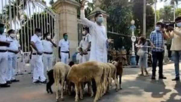 போலீசார் தடுக்கவில்லை 