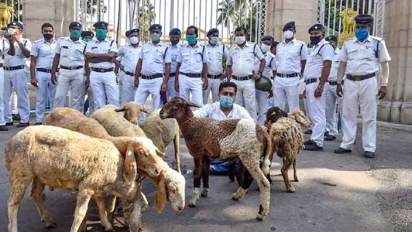 நடவடிக்கை இல்லை 