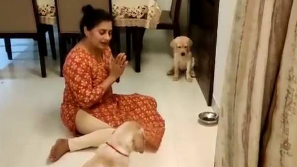 நன்றி சொல்லும் எஜமானி நன்றி சொல்லும் எஜமானி