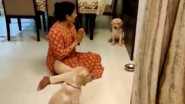 சைகையில் உத்தரவு சைகையில் உத்தரவு