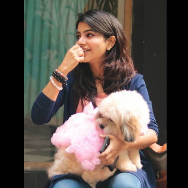 சூப்பர் வரவேற்பு 