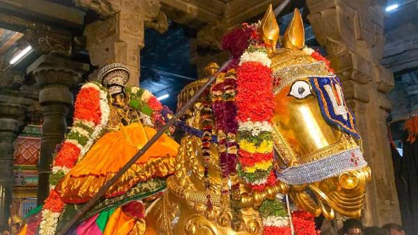 குதிரை வாகனத்தில் நம்பெருமாள்