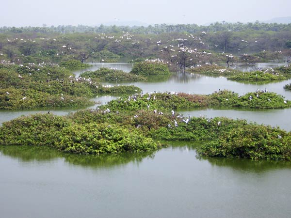 பாதரச கழிவுகள் 