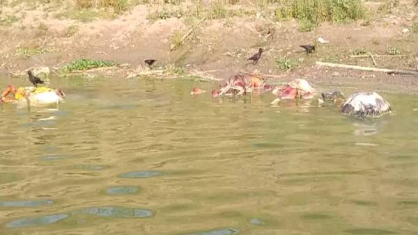 யமுனை நதியிலும் யமுனை நதியிலும்