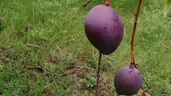 சென்னையில் 