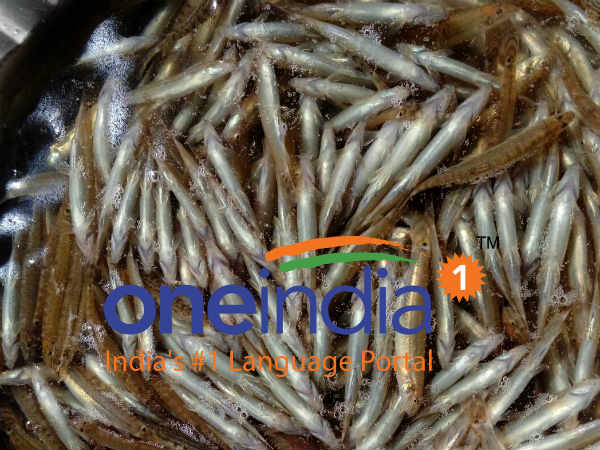 நோய் எதிர்ப்பு சக்தி 