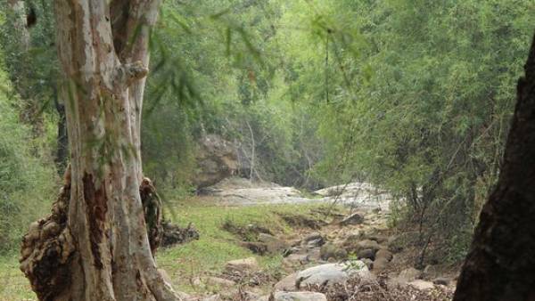 கோவை அளவு 