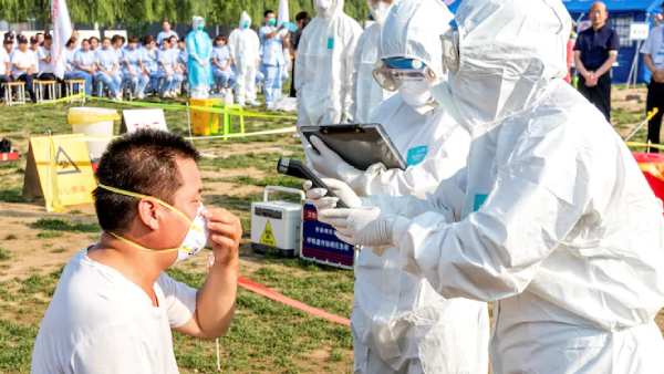 H10N3 பறவை காய்ச்சல்