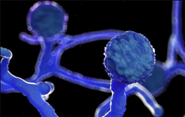 சிகிச்சை