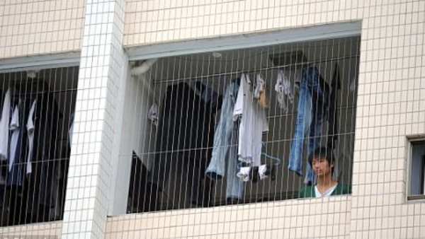 எங்கெங்கும் நெட் மயம் 