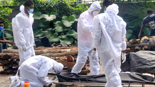 தினசரி கொரோனா பாதிப்பு தினசரி கொரோனா பாதிப்பு
