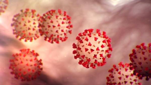 லாம்ப்டா வகை கொரோனா