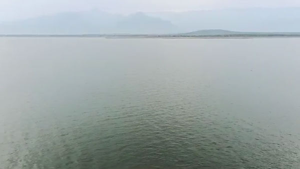 கூடுதல் சாகுபடி 