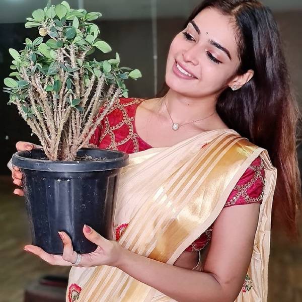 ரசிகர் பட்டாளம் 