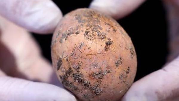 துண்டுகள்