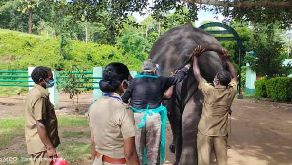 முடிவு எப்போது தெரியும்? முடிவு எப்போது தெரியும்?