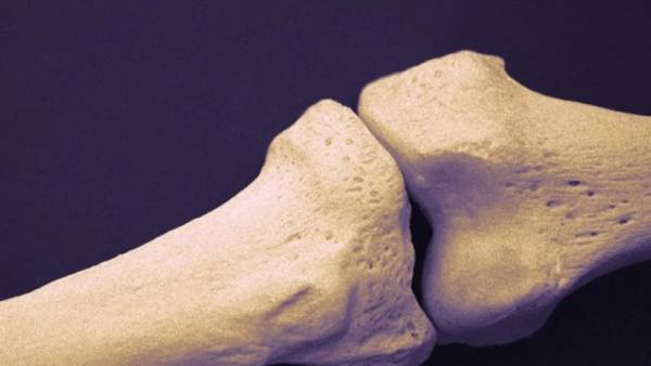 பாதிப்பு 