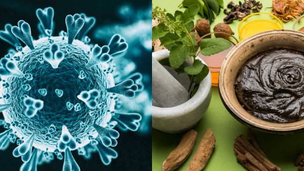 மூலிகை மருந்து மூலிகை மருந்து