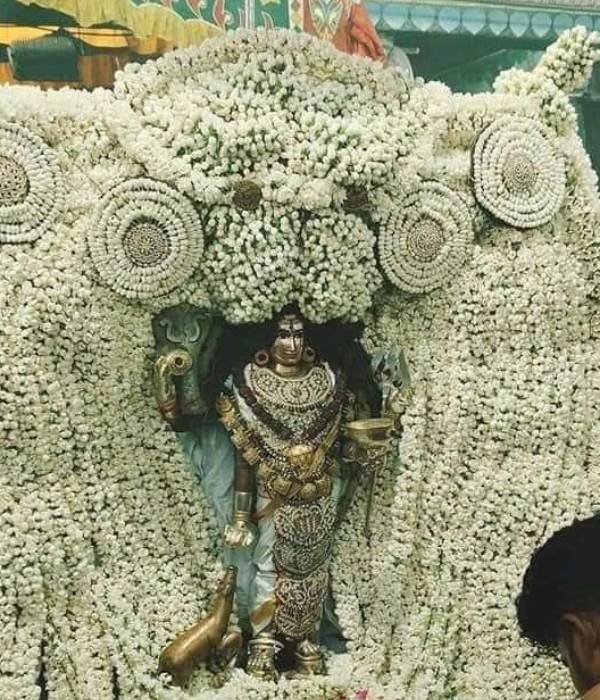 தெய்வமாக வணங்கிய உறவினர் 