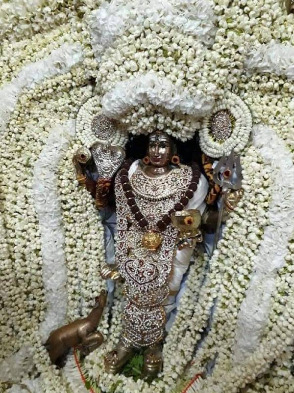 பேயுருவம் பெற்ற அன்னை