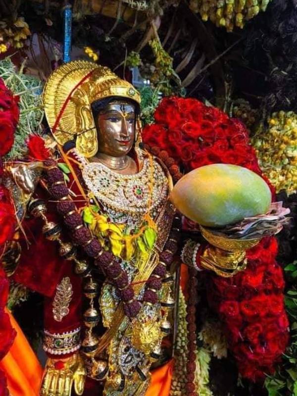 அதிக சுவை கொண்ட மாம்பழம்