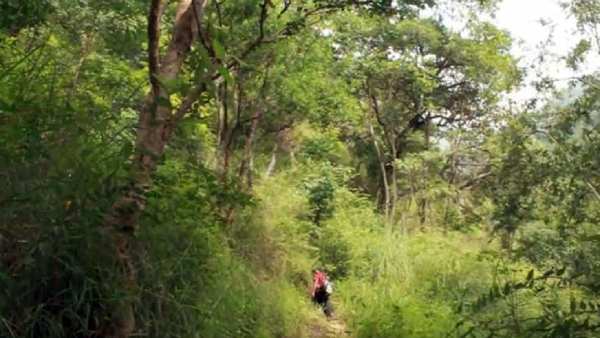 நறுமணம் நறுமணம்