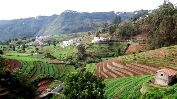 காட்டுப்பகுதி காட்டுப்பகுதி