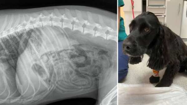 ஆபரேஷன்