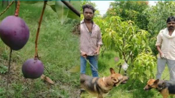 விதை முக்கியம் 