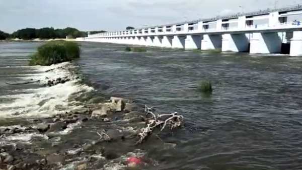 கல்லணைக்கு பாய்ந்த காவிரி 