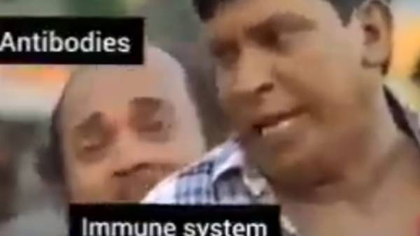 பயப்படும் ஆன்டிபாடி 