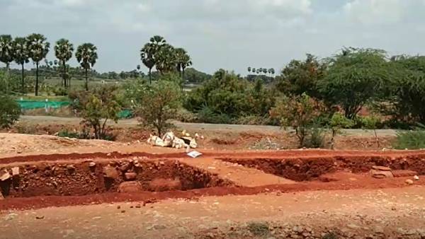 வாழ்விடப் பகுதிகள் குறித்து ஆய்வு