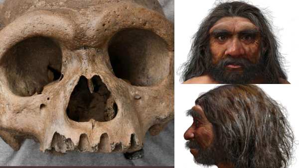 நம்மை மாதிரியே மூளை 