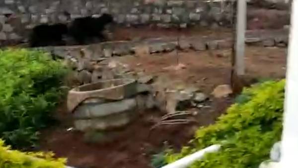 சிசிடிவி கேமரா காட்சி சிசிடிவி கேமரா காட்சி