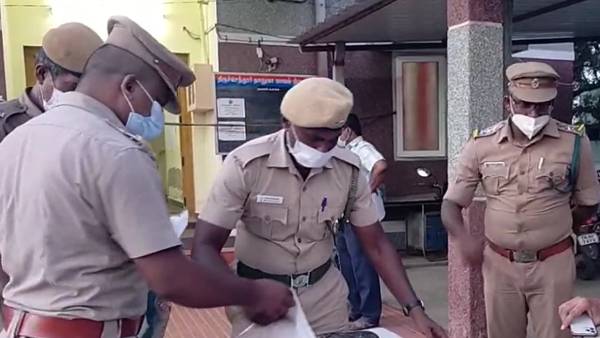 ஸ்பெர்ம் திமிங்கிலங்கள் 