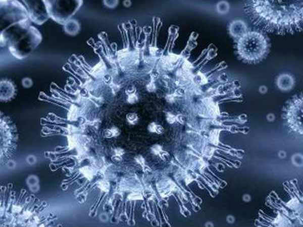  நரம்புகள் 