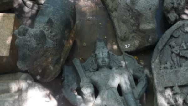 நடவடிக்கை தேவை நடவடிக்கை தேவை