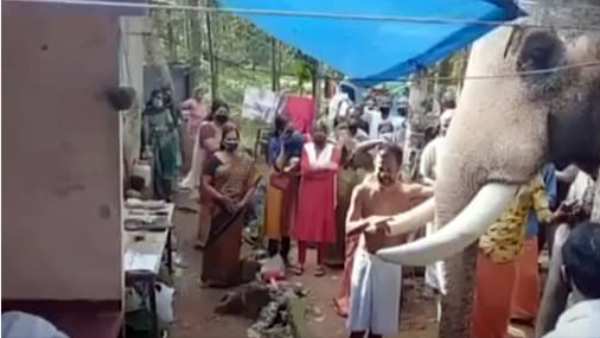 யானையிடம் பாசம் வைத்த குட்டன் யானையிடம் பாசம் வைத்த குட்டன்