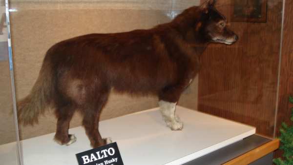 சாமர்த்தியம் சாமர்த்தியம்