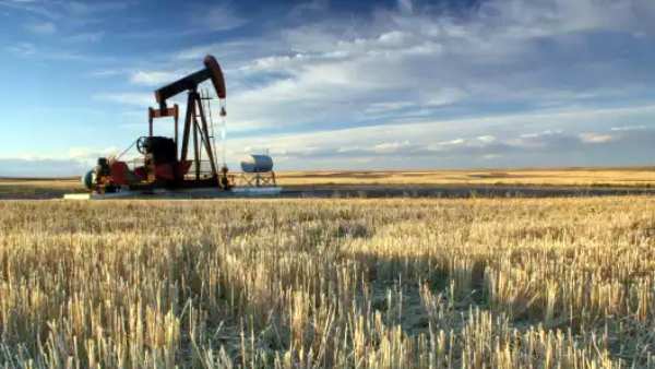 பாதுகாக்கப்பட்ட பகுதிகள் 