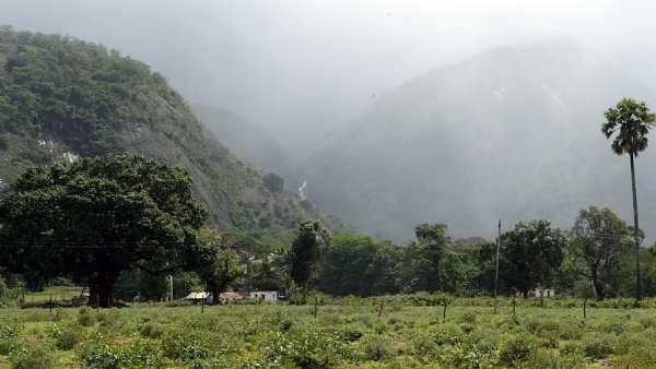 பெஸ்ட் பெஸ்ட்