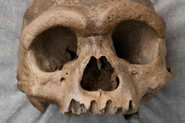 நியாண்டர்தால் மனிதர்கள் 