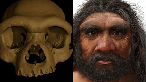 ஆராய்ச்சி முடிவுகள் 