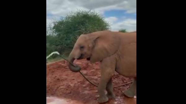 வனவிலங்கு காப்பகம்