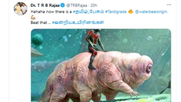 புது புது விலங்குகள் 