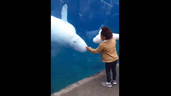  மனிதர்கள் மாதிரி